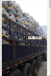 開(kāi)封五金工具商行 一站式農(nóng)具批發(fā)零售與五金產(chǎn)品研發(fā)的領(lǐng)航者